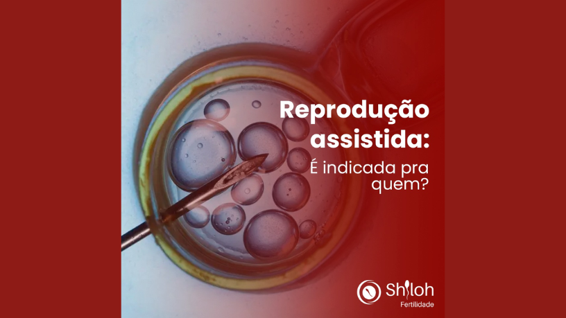 Descubra com Oluwatosin Tolulope Ajidahun a relação entre metabolismo, inflamação crônica e infertilidade.