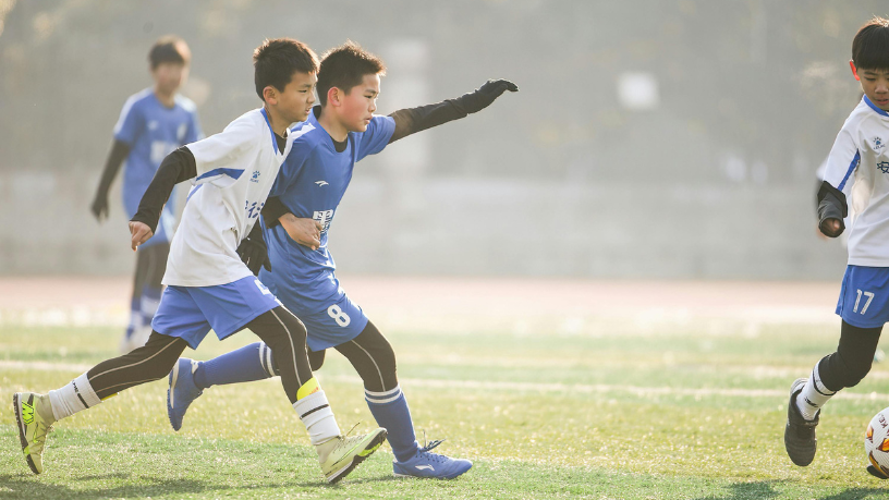 Luciano Colicchio Fernandes